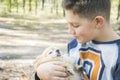 In summer  in the forest  a boy holds a small red dog in his arms Royalty Free Stock Photo