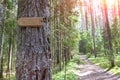 In the summer forest at the crossroads of forest roads weighs a wooden plate showing the direction of movement Royalty Free Stock Photo