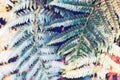 Summer forest fern leaf closeup. Forest floor artistic digital illustration. Faded blue green fern leaves
