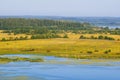 Summer forest, field and lake landscape (Karelia, Russia) Royalty Free Stock Photo