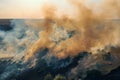 Summer forest fire. Natural disaster. Burning grass with smoke, trees and forest on fire, aerial view