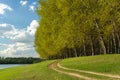 Summer forest and ground road near riverside Royalty Free Stock Photo