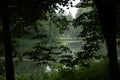 Summer forest lake with reflection in Poland Dark trees on a rainy day Royalty Free Stock Photo