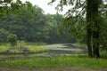 Summer forest lake with reflection in Poland Royalty Free Stock Photo