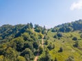 Summer Forest Road. Aerial Drone View Royalty Free Stock Photo