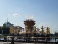 Summer. Fountain friendship of peoples in the Park of VDNH in Moscow.