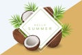 Summer frame with coconut and palm leaf Royalty Free Stock Photo