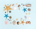 Summer frame from colorful sea stars, seashells, shellfishes, pebble stones on pastel blue with copy space. Royalty Free Stock Photo