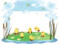 Summer frame with ducklings Royalty Free Stock Photo