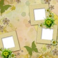 Summer frames with green butterfly, flowers