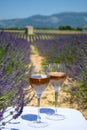 Summer in French Provence, cold gris rose wine from Cotes de Provence and blossoming colorful lavender fields on Valensole plateau