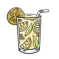 Summer fresh cocktail. Lemon with mint. Flat style. Colorful cartoon vector illustration