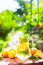 Summer fresh cold drink beverages. Ice Lemonade in the jug and l Royalty Free Stock Photo