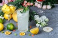 Summer fresh cold drink beverages. Ice Lemonade in the jug and lemons and orange with mint on the table outdoor. Orange lemonade Royalty Free Stock Photo