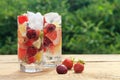 Summer fresh drink with mineral water with ice, berries and fruits strawberry, cherry, lemon, grapefruit on a natural green Royalty Free Stock Photo