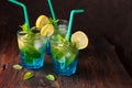 Summer fresh drink mojito