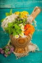 Summer fresh medicinal herbs on the wooden background. Royalty Free Stock Photo