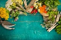 Summer fresh medicinal herbs on the wooden background. Royalty Free Stock Photo