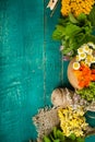 Summer fresh medicinal herbs on the wooden background. Royalty Free Stock Photo