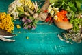 Summer fresh medicinal herbs on the wooden background. Royalty Free Stock Photo