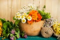 Summer fresh medicinal herbs on the wooden background.