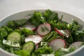 Summer fresh salad with radish, cucumber and herbs in white bowl Royalty Free Stock Photo