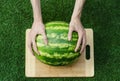 Summer and fresh watermelon topic: human hand with a knife beginning to cut a watermelon on the grass on a cutting board Royalty Free Stock Photo