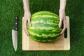 Summer and fresh watermelon topic: human hand with a knife beginning to cut a watermelon on the grass on a cutting board Royalty Free Stock Photo