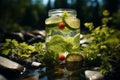 Summer freshness Nature inspired drink, food, water, green, and ice