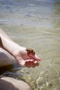 Summer frog in the hand of a child in a lake 27