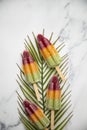 Summer fruit ice lollies on a tropical palm leaf Royalty Free Stock Photo