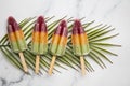 Summer fruit ice lollies on a tropical palm leaf Royalty Free Stock Photo