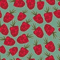 Summer fruit illustration. Seamless background with red raspberry. Cute raspberry pattern. Royalty Free Stock Photo