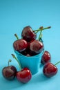 Summer fruit, natural diet and healthy eating concept with close up on a bucket of sweet cherries, each cherry is varying in color