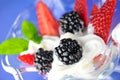 Summer fruit salad with berries Royalty Free Stock Photo
