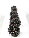 Summer fruit salad ingredients, blackberries in a line Royalty Free Stock Photo