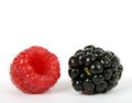 Summer fruit salad ingredients, blackberry and raspberry Royalty Free Stock Photo