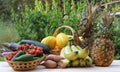 Summer Fruit and Vegetable Harvest - Ginkaku Korean Melons with Pineapple, Bananas, Jalapeno Peppers and Tomatoes Royalty Free Stock Photo