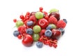 Summer fruits Royalty Free Stock Photo