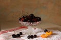 Summer fruits, black cherry and apricot on glass plate Royalty Free Stock Photo