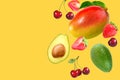 Summer fruits concept background Royalty Free Stock Photo