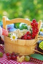 Summer fruits in the garden Royalty Free Stock Photo