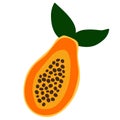 Summer fruits for healthy lifestyle. Papaya, whole fruit and half. Vector illustration cartoon flat icon isolated on white Royalty Free Stock Photo
