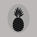 Summer fruits for healthy lifestyle. Pineapple fruit. Vector illustration cartoon flat icon isolated on colorful background. Desig Royalty Free Stock Photo