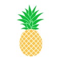 Summer fruits for healthy lifestyle. Pineapple fruit. Vector illustration cartoon flat icon isolated on white Royalty Free Stock Photo