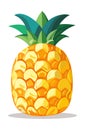 Summer fruits for healthy lifestyle. Pineapple fruit. Vector illustration cartoon flat icon isolated on white. Royalty Free Stock Photo