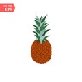 Summer fruits for healthy lifestyle. Pineapple fruit. Vector illustration cartoon flat icon isolated on white. Royalty Free Stock Photo