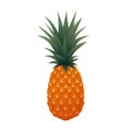 Summer fruits for healthy lifestyle. Pineapple fruit. Vector illustration cartoon flat icon isolated on white. Royalty Free Stock Photo