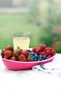 Summer Fruits II Royalty Free Stock Photo