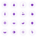 summer fruits purple color vector icons